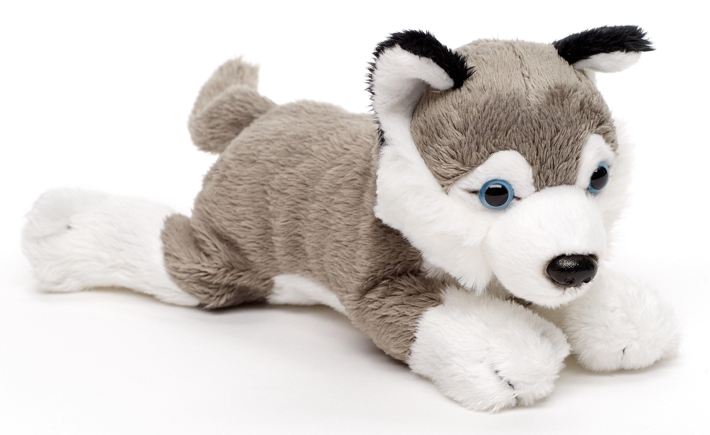 Uni-Toys Kuscheltier Husky Plushie (ohne Leine) - 22 cm (Länge) - Plüsch-Hund - Plüschtier, zu 100 % recyceltes Füllmaterial | Kuscheltiere