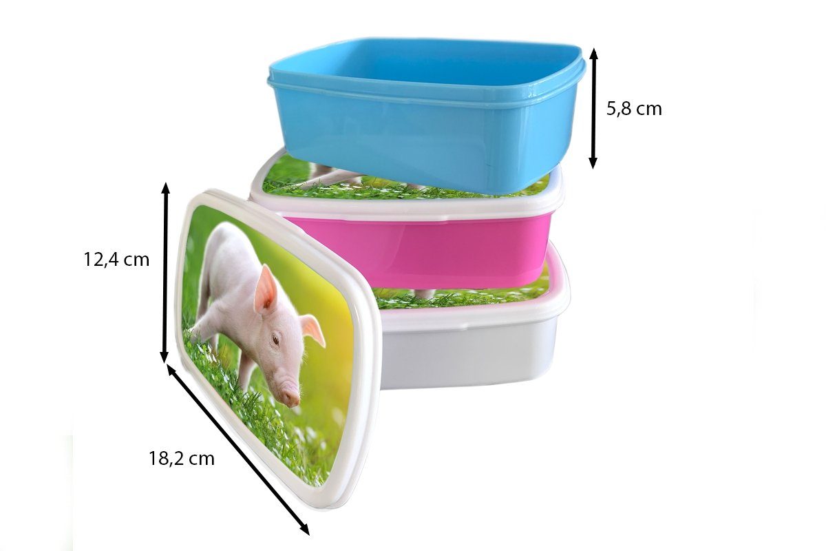 Ferkel Snackbox, Lunchbox Brotdose für rosa Kunststoff, - MuchoWow - Erwachsene, Tiere Mädchen, Schwein, (2-tlg), Kinder, Brotbox Kunststoff