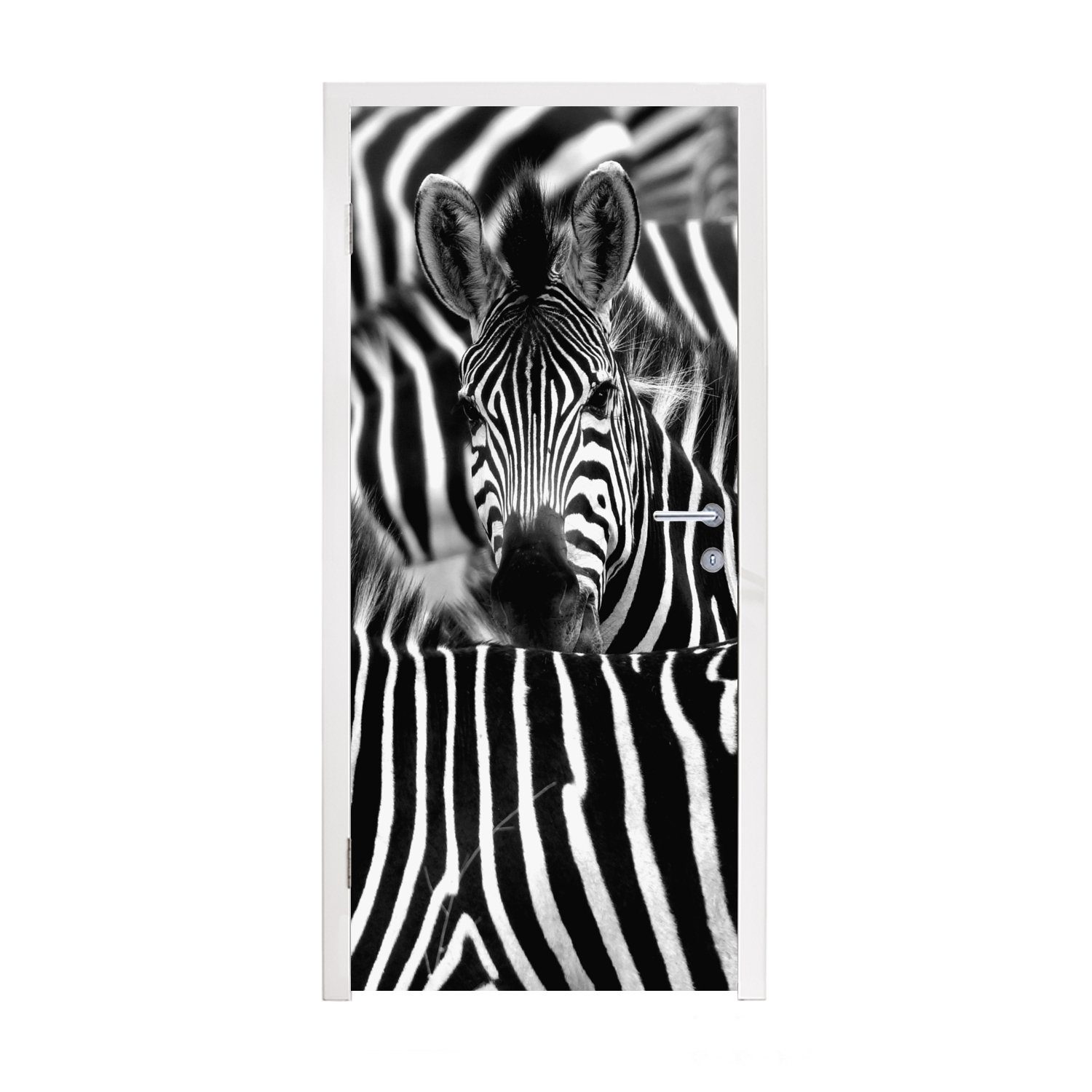 MuchoWow Türtapete Zebra schwarz-weiß Fotodruck, Matt, bedruckt, (1 St), Fototapete für Tür, Türaufkleber, 75x205 cm