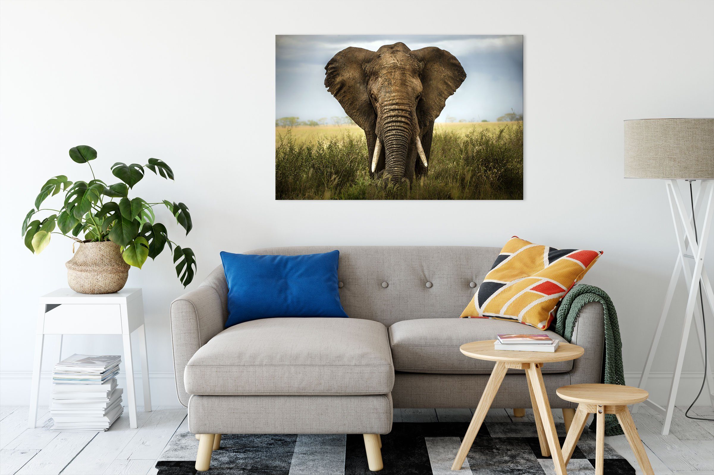 Pixxprint Leinwandbild Imposanter Elefant, Imposanter inkl. (1 Zackenaufhänger fertig Leinwandbild bespannt, Elefant St)