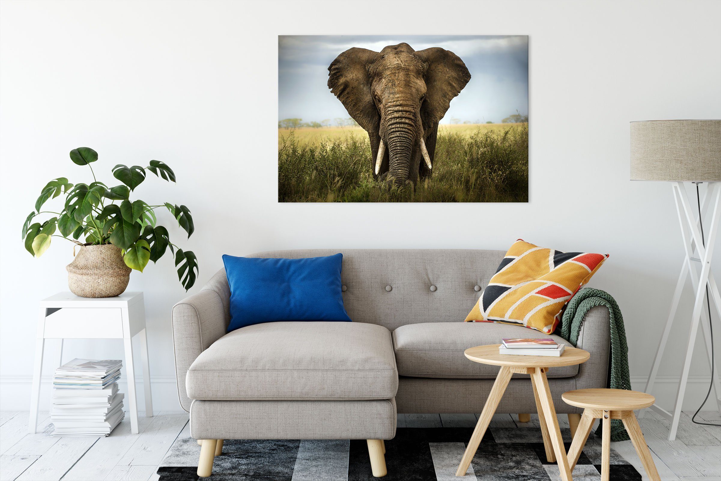 Pixxprint Leinwandbild Imposanter Elefant, Imposanter Elefant günstig online kaufen