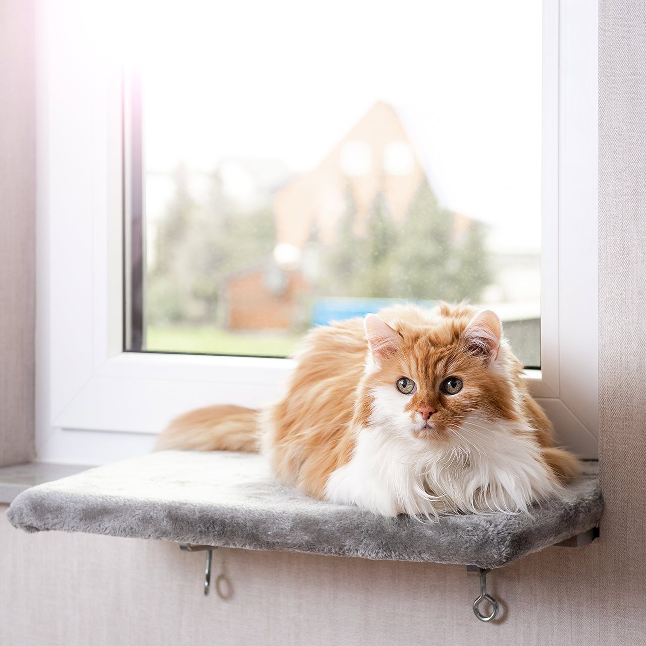Canadian Cat Company Katzen-Hängematte Snuggly Place, hellgrau, 50x35x2cm, gepolsterte Liege - Aussichtsplattform für die Fensterbank
