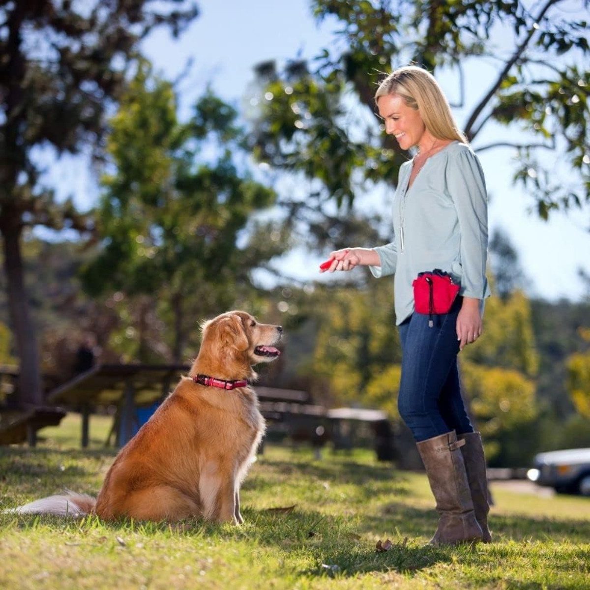 Company of Animals Tier-Clicker Whizzclick – 2-in-1 Clicker und Hundepfeife – Trainingshilfe
