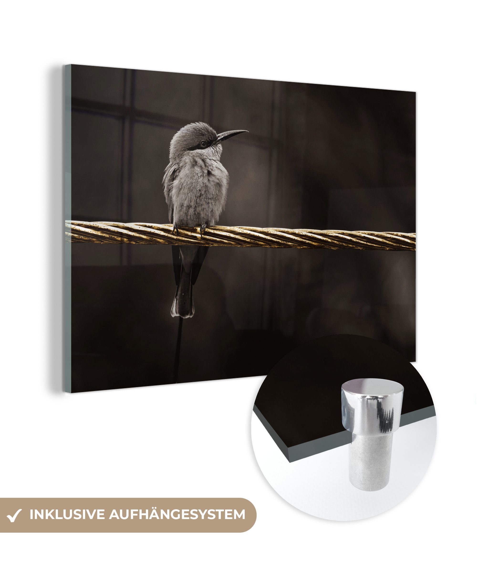 - (1 Bilder Gold, Vogel Glasbilder Foto auf Wandbild - MuchoWow - auf Acrylglasbild St), Wanddekoration - Schwarz - Glas Glas