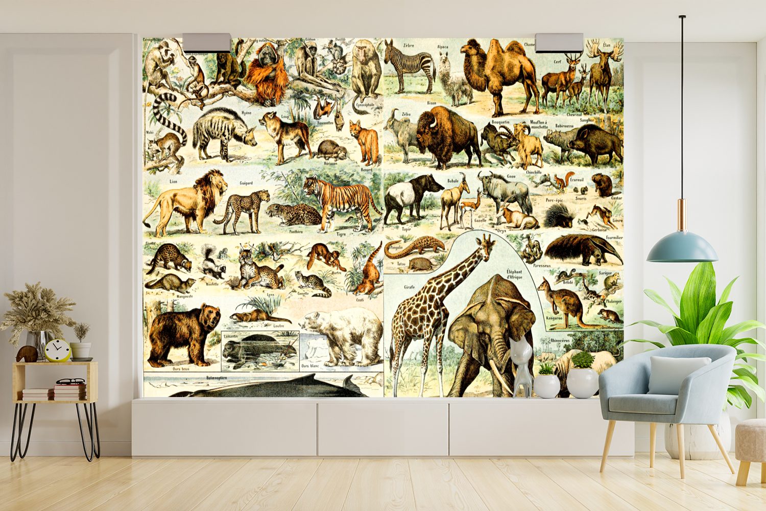 Schlafzimmer, - bedruckt, Giraffe St), MuchoWow Wallpaper Fototapete Vinyl für Tapete (6 Wohnzimmer, Matt, - Kinderzimmer, Tiere Bär,