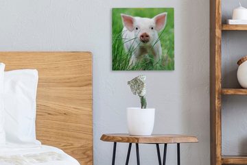 OneMillionCanvasses® Leinwandbild Schwein - Tiere - Groß, (1 St), Leinwand Bilder für Wohnzimmer Schlafzimmer