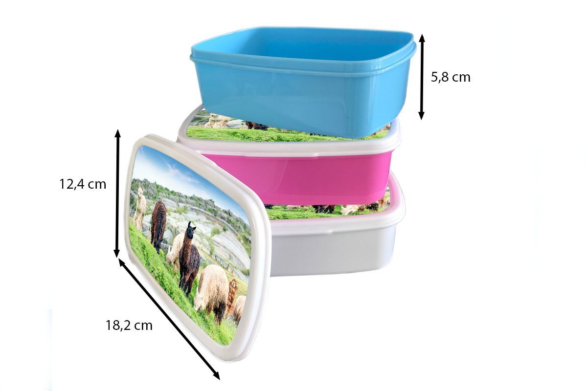 MuchoWow Lunchbox Alpaka - Gras, für und Kunststoff, Erwachsene, Brotdose, Kinder Jungs und weiß Mädchen - Brotbox Berg für (2-tlg)