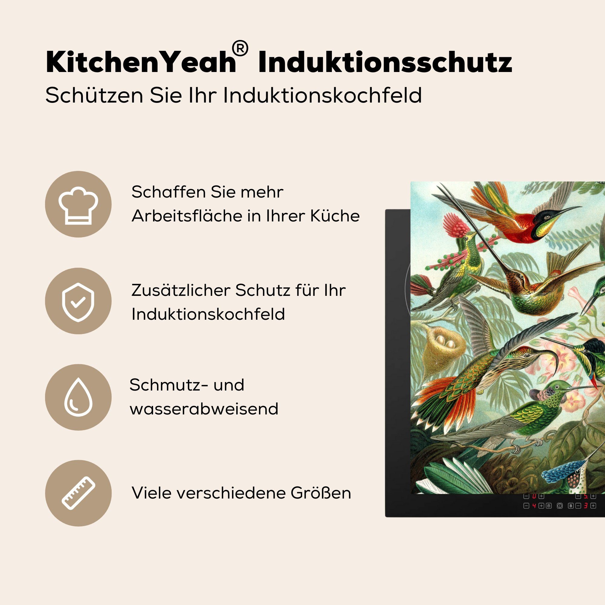 MuchoWow Herdblende-/Abdeckplatte - Vinyl, Ernst Vogel, 78x78 Ceranfeldabdeckung, Haeckel für (1 Arbeitsplatte Trochilidae küche cm, - tlg)
