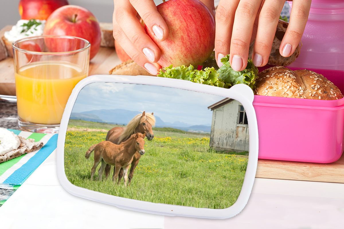 MuchoWow Lunchbox Pferde Kinder, rosa Mädchen, (2-tlg), Kunststoff Kunststoff, Gebirge, - Erwachsene, Snackbox, für - Brotdose Brotbox Fohlen