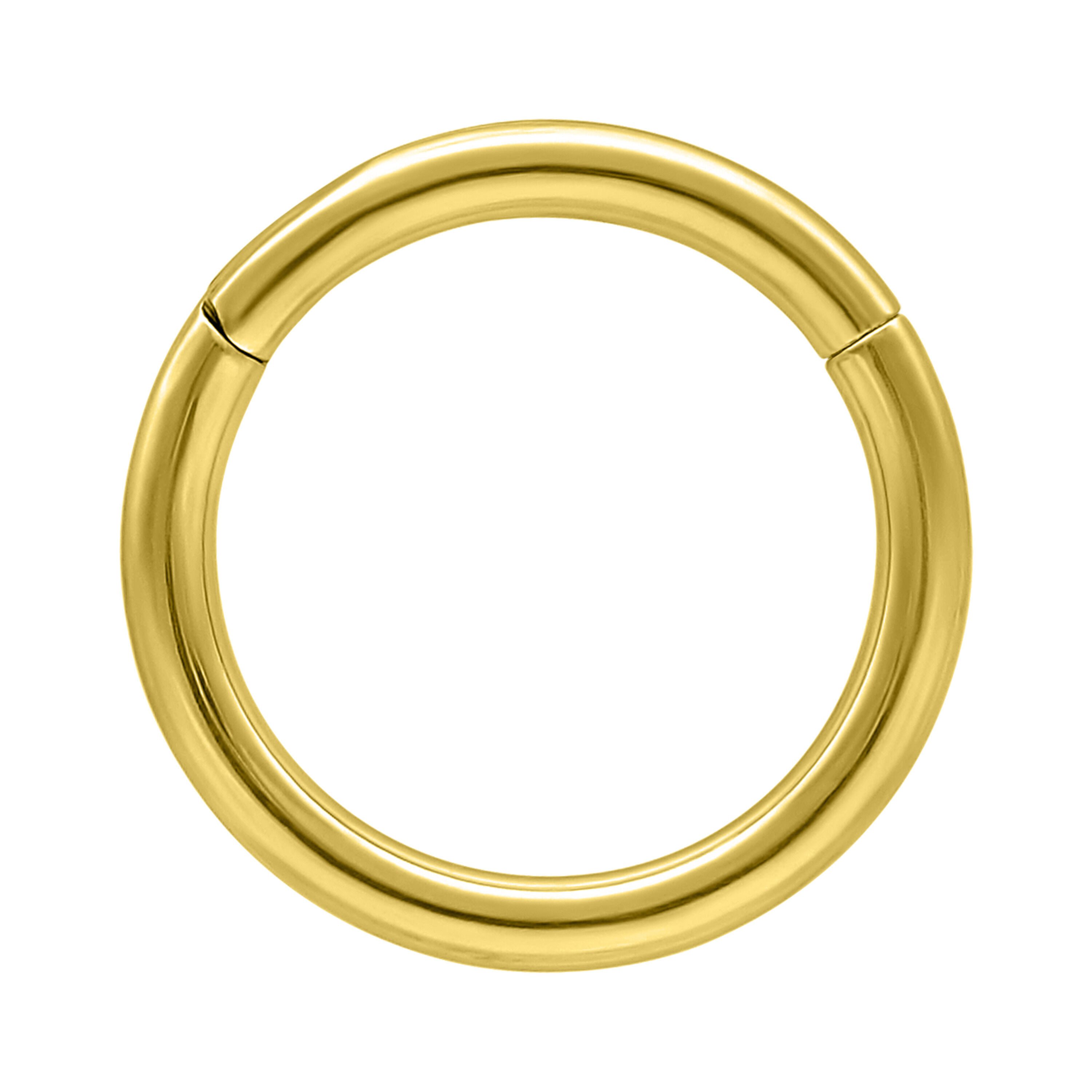 Wildcat Nasenpiercing 14K Gold Hinged Ring für Ohr, Nase, Lippe, Bauchnabel, 1 Stück, 585er Gold - wasserfest, hautverträglich, Gold
