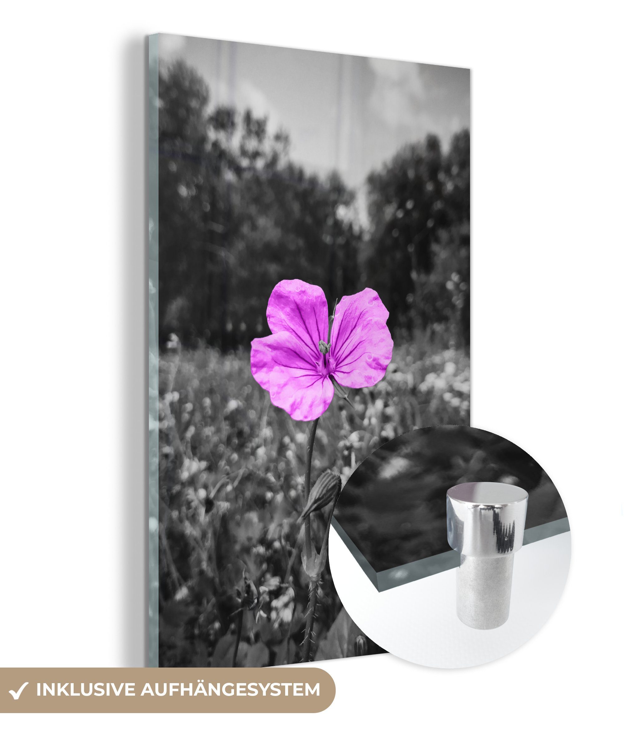 MuchoWow Acrylglasbild Blumen - Flieder - Schwarz - Weiß, (1 St), Glasbilder - Bilder auf Glas Wandbild - Foto auf Glas - Wanddekoration bunt