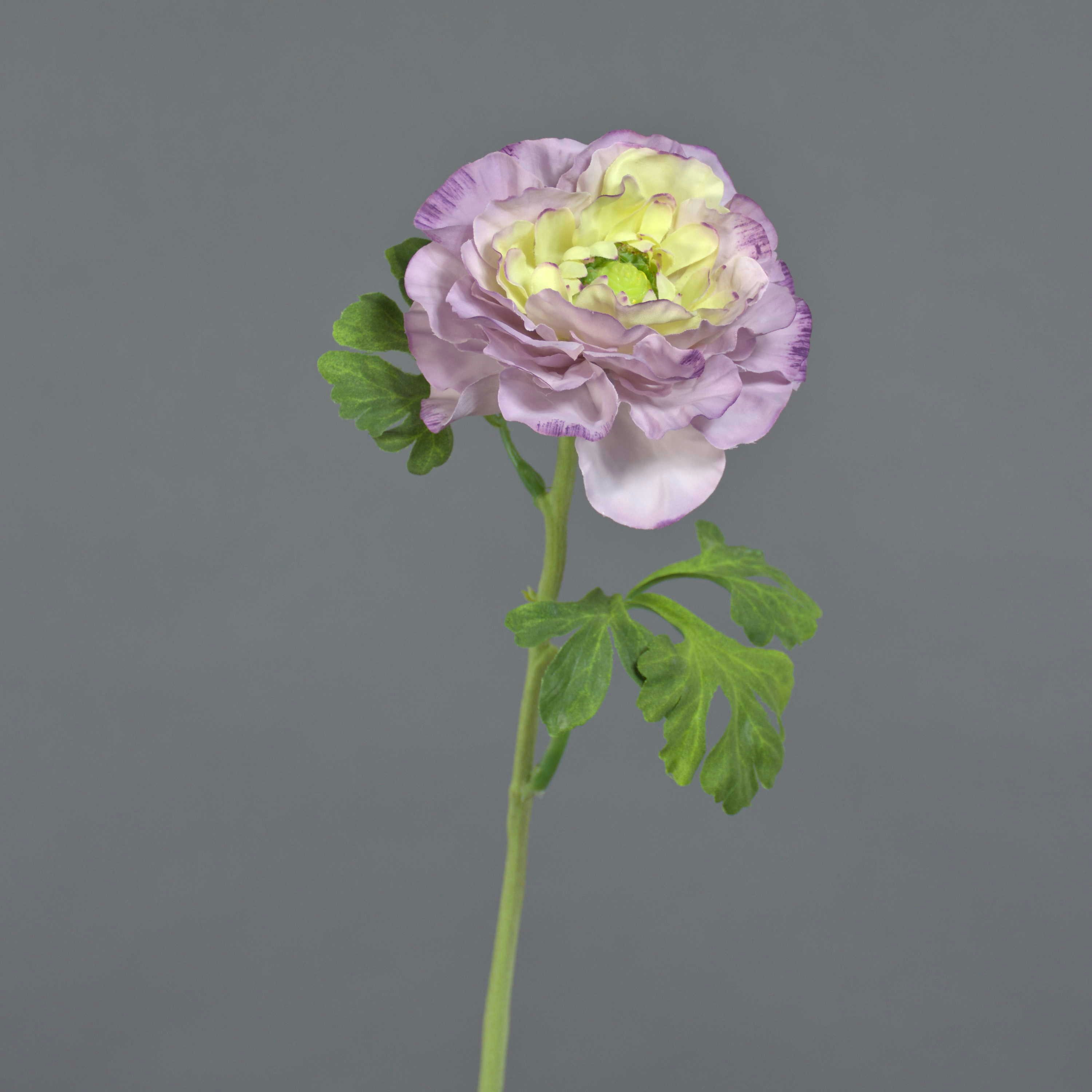Kunstblume Deko Ranunkel Kristy, lila-Creme, 60cm, Ø10cm Ranunkel, artplants, Höhe 60.0 cm