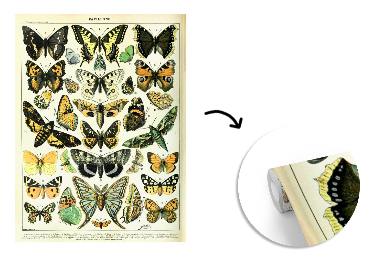 MuchoWow Fototapete Tiere - Schmetterling Matt, Tapete bedruckt, Montagefertig - Wohnzimmer, (4 Vinyl St), Gelb, für Wandtapete