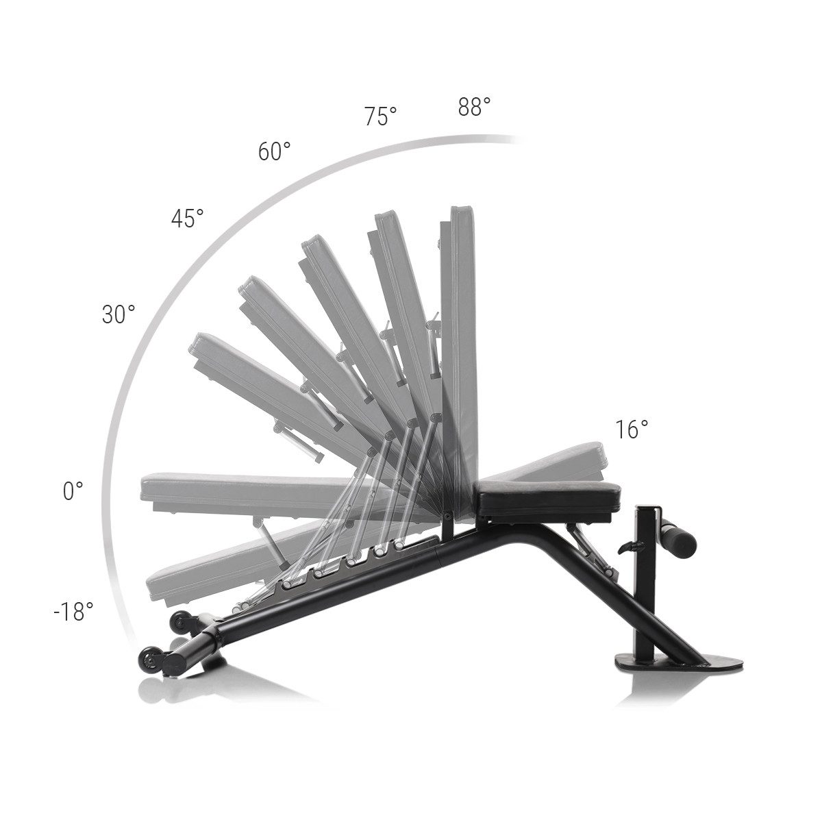 Hammer Trainingsbank Hantelbank Autark