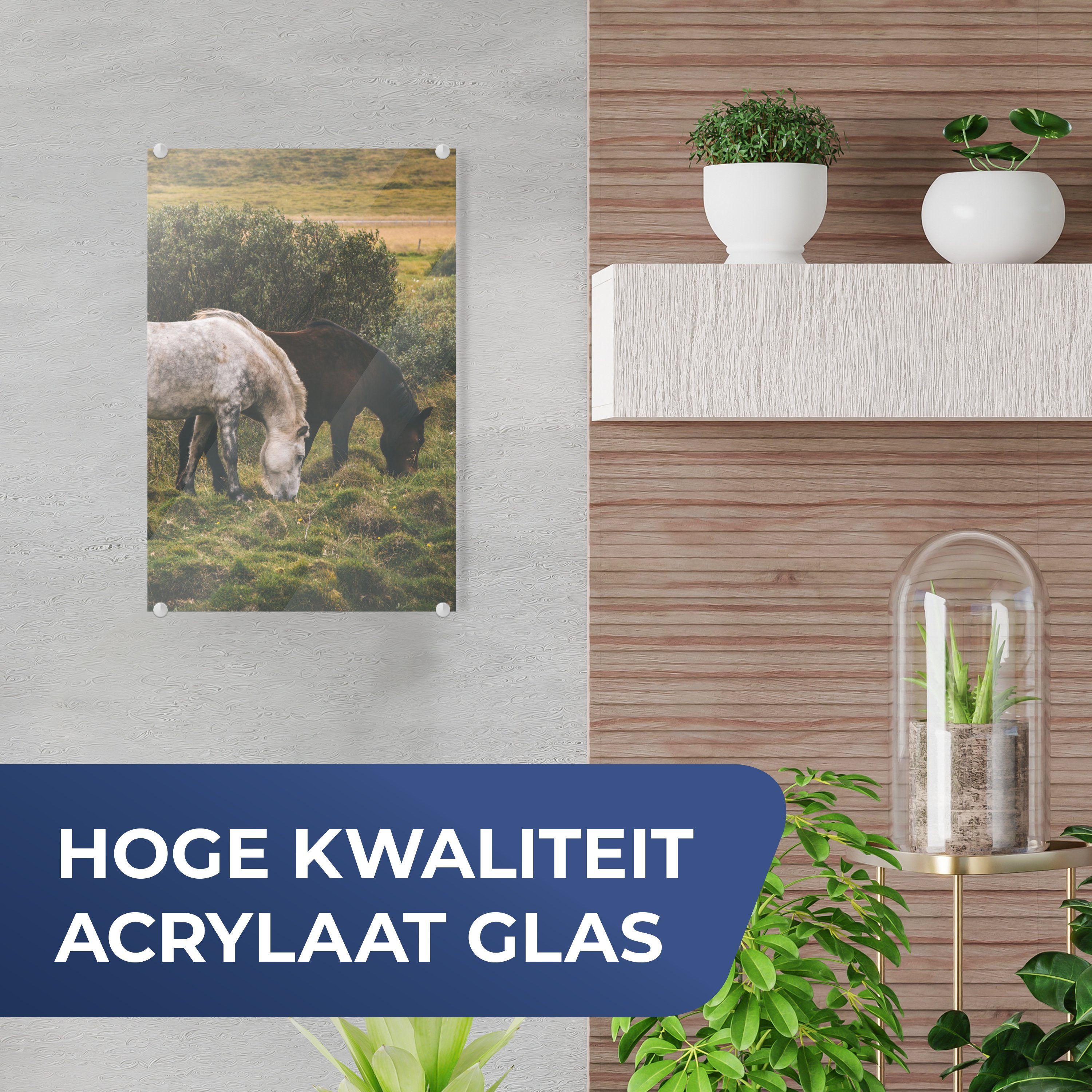 MuchoWow Acrylglasbild Pferde - Schwarz Bilder Wanddekoration - auf Glas - Wandbild - Foto (1 Island, Glasbilder Glas - auf St)