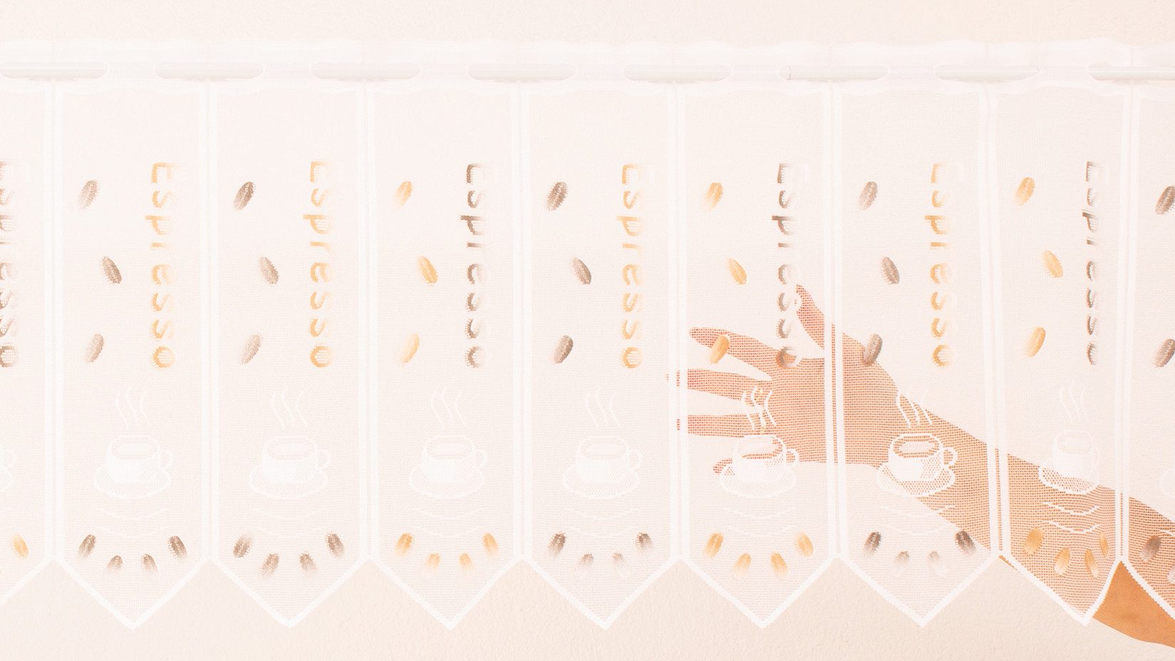 Gardinen Kranzusch Scheibengardine Espresso, Stangendurchzug, transparent, günstig online kaufen