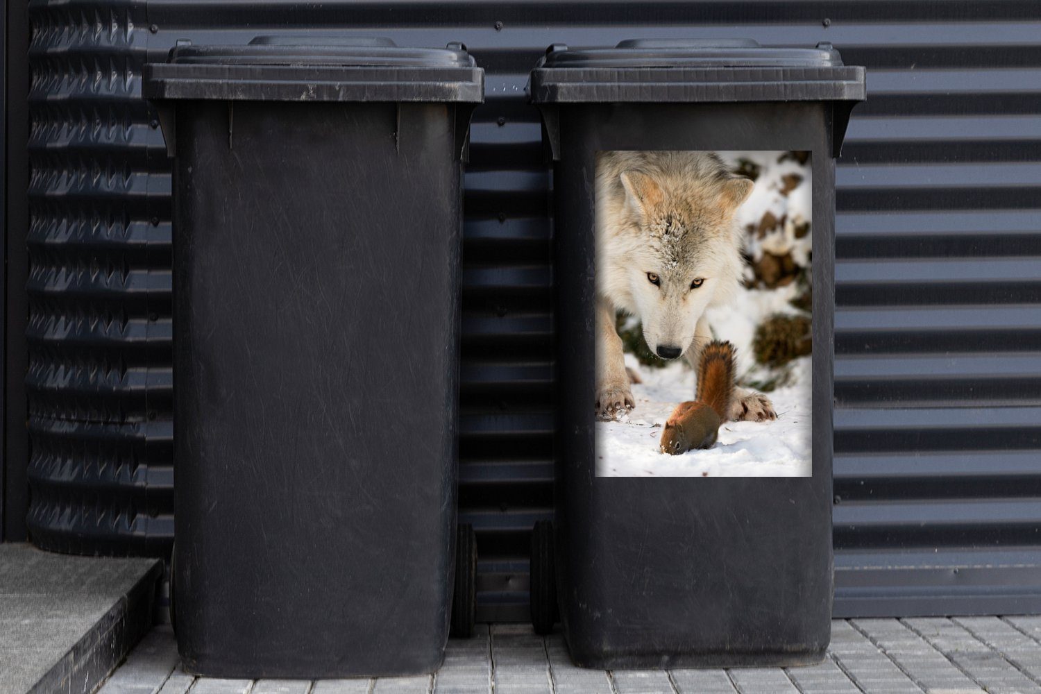 MuchoWow Wandsticker Eichhörnchen - Wolf (1 Sticker, - Mülltonne, St), Schnee Container, Mülleimer-aufkleber, Abfalbehälter Winter 