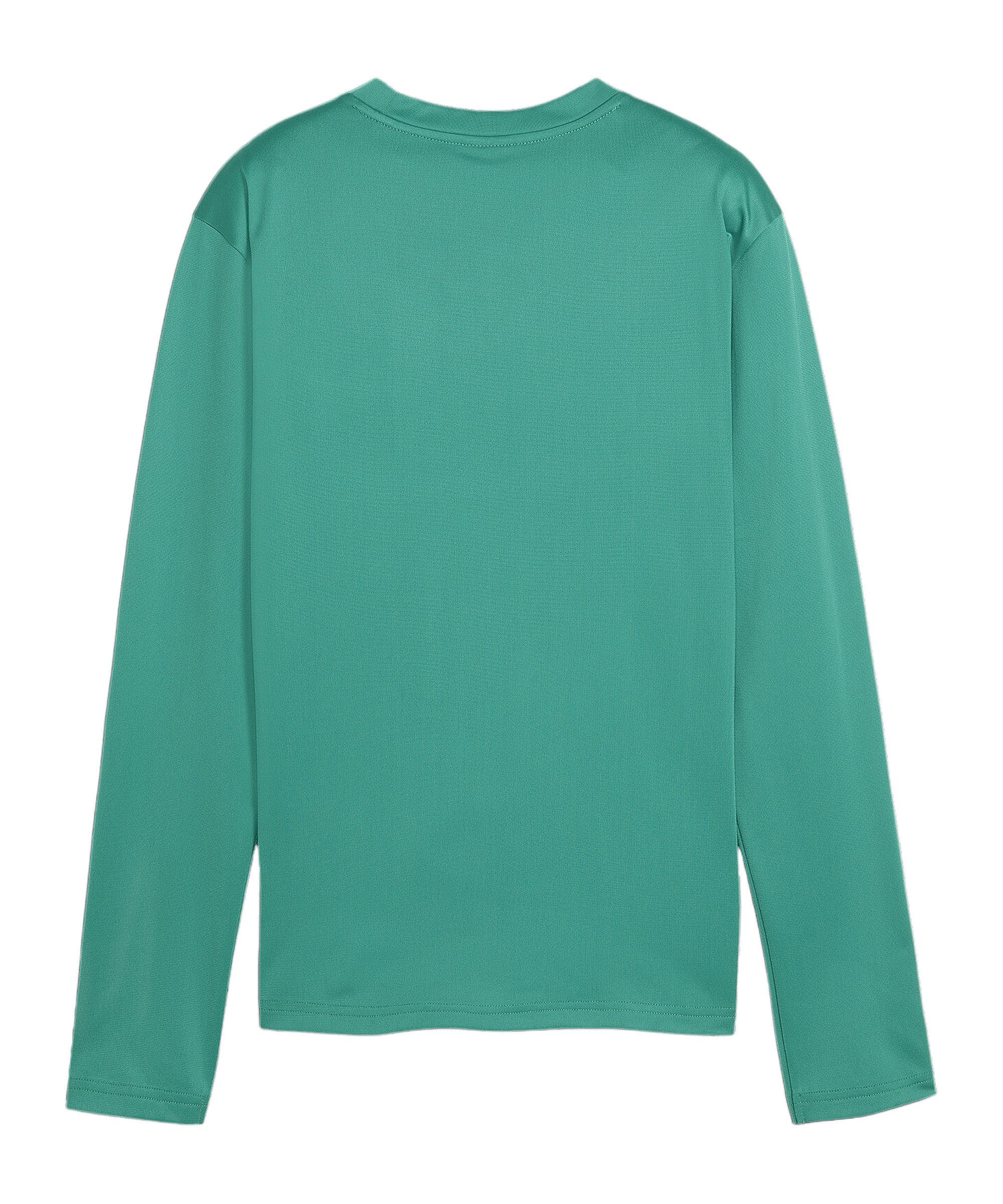 PUMA Sweater PUMA teamGOAL Training Sweatshirt günstig online kaufen