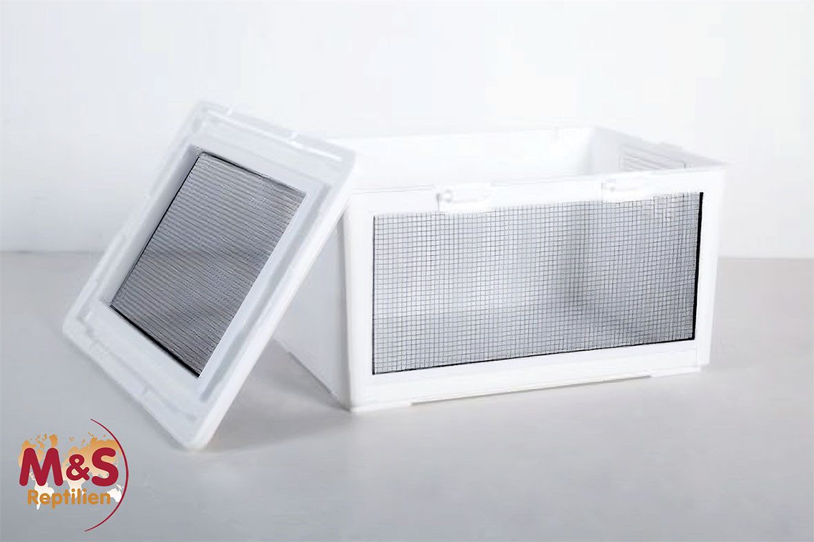 ReptiZoo Kleintierkäfig Kunststoffterrarium / Kleintierkäfig / Transportbox -medium- 50x35x26c