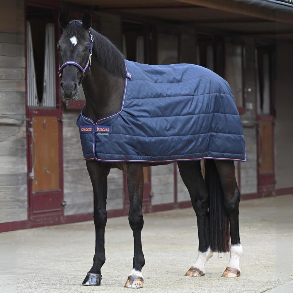 Bucas Pferde-Unterdecke Bucas Therapy Liner 150g
