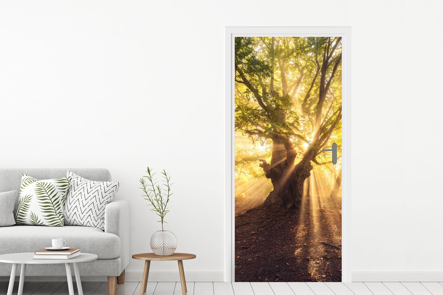 MuchoWow Türtapete Baum - Wald (1 für Matt, cm Tür, Türaufkleber, Sonne, St), Fototapete - bedruckt, 75x205