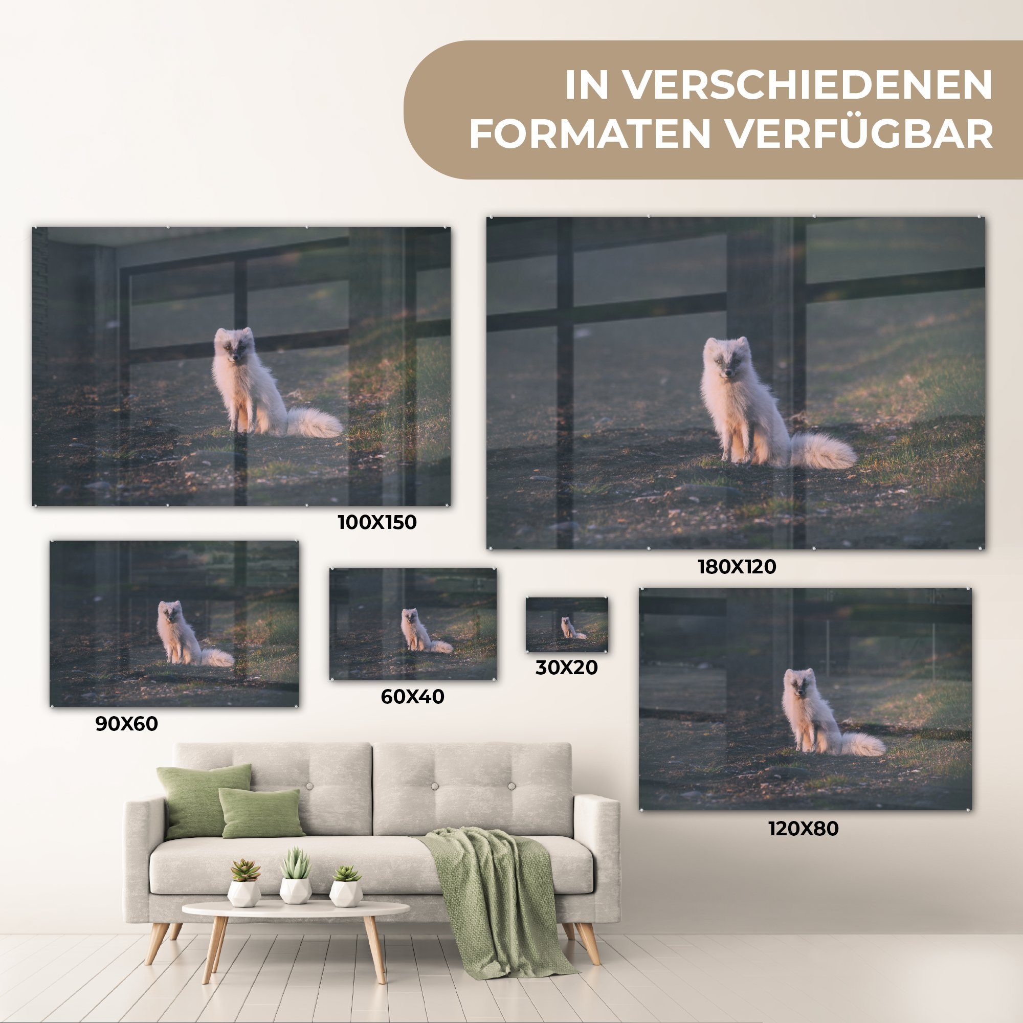 Schlafzimmer Wohnzimmer & Weiß Acrylglasbilder MuchoWow Kröte, Fuchs - (1 Acrylglasbild St), -