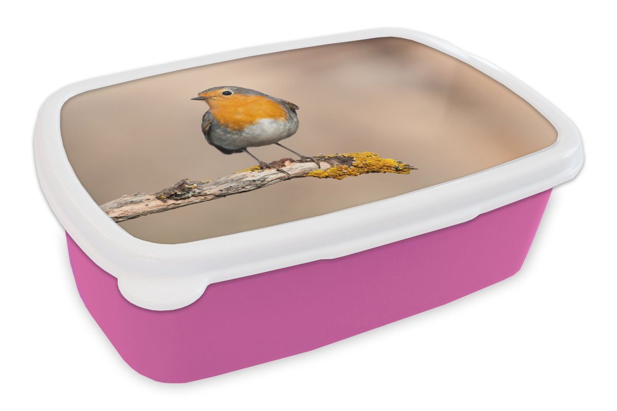 MuchoWow Lunchbox Rotkehlchen - Vogel - Zweig - Tiere, Kunststoff, (2-tlg), Brotbox für Erwachsene, Brotdose Kinder, Snackbox, Mädchen, Kunststoff rosa