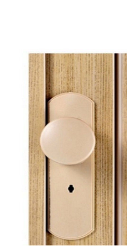 Standom Falttür Schiebetür Tür Eiche/Erle Fenster günstig online kaufen