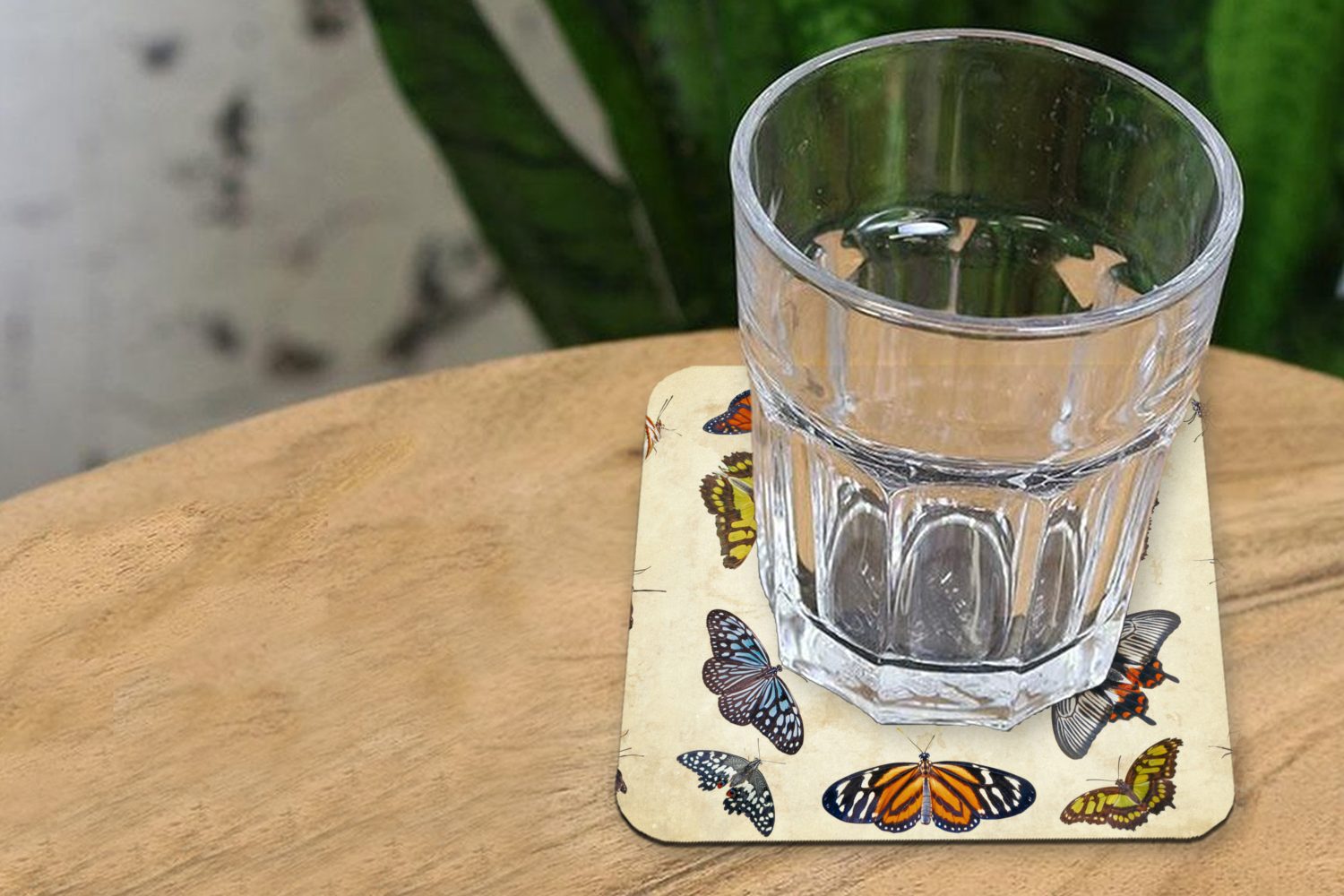 Schmetterlinge, für Gläser, Botanischer Tasse Glasuntersetzer Korkuntersetzer, Untersetzer, MuchoWow Tischuntersetzer, Zubehör Druck Glasuntersetzer, 6-tlg.,