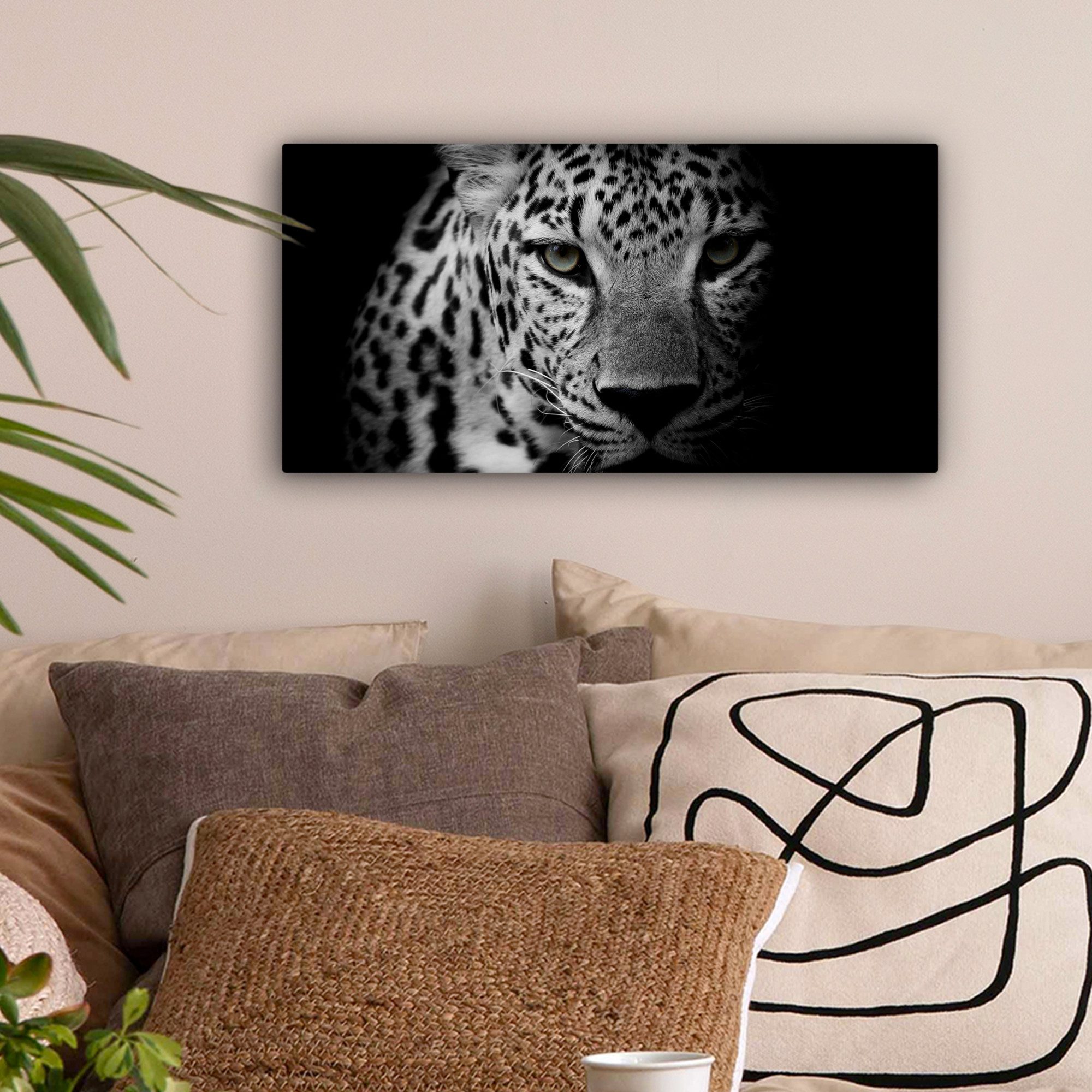 OneMillionCanvasses® Leinwandbild Panorama Tiere - Schwarz - Weiß - Panther günstig online kaufen