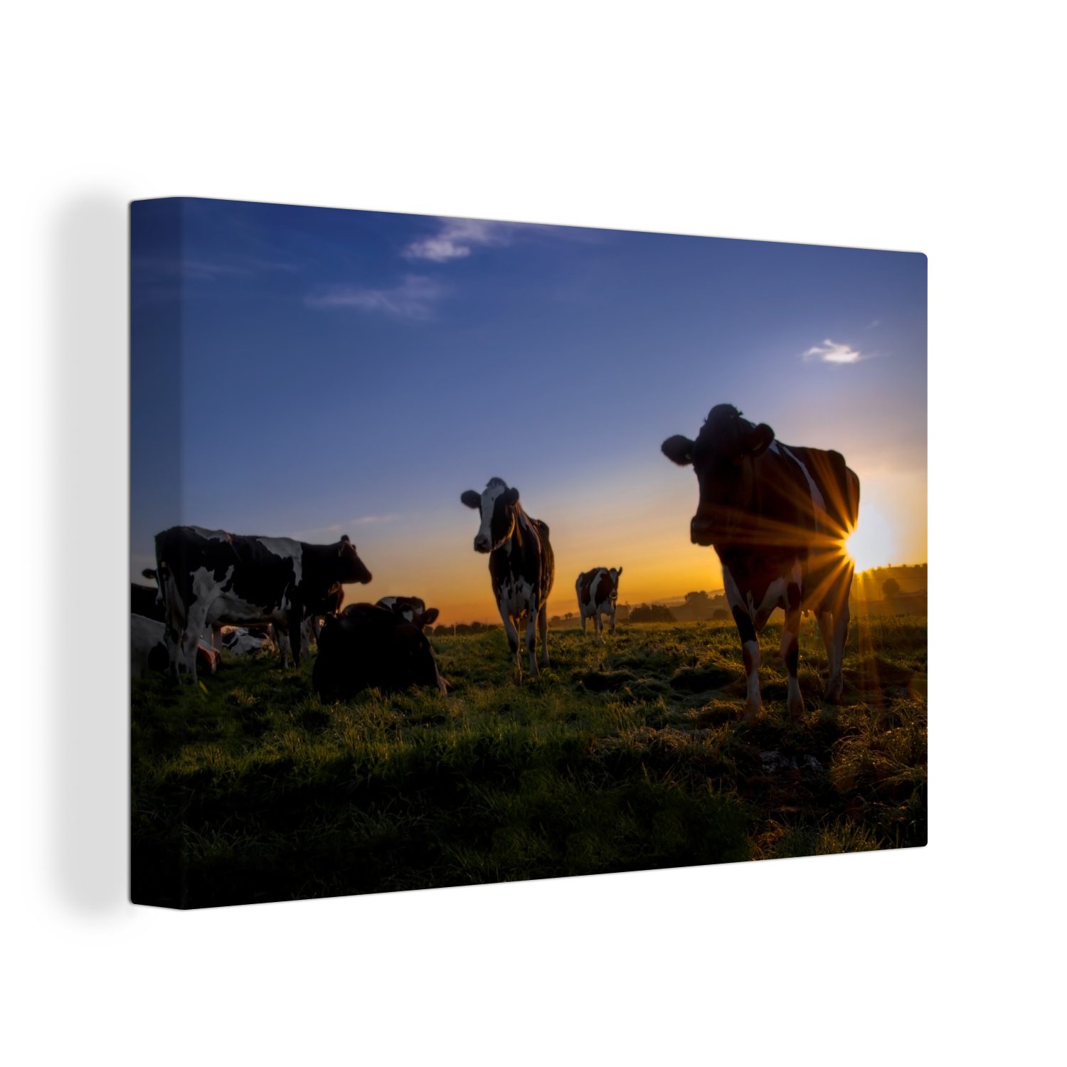 Wanddeko, Wandbild Leinwandbild Aufhängefertig, OneMillionCanvasses® - Kühe St), - 30x20 Leinwandbilder, cm Himmel, (1 Sonne