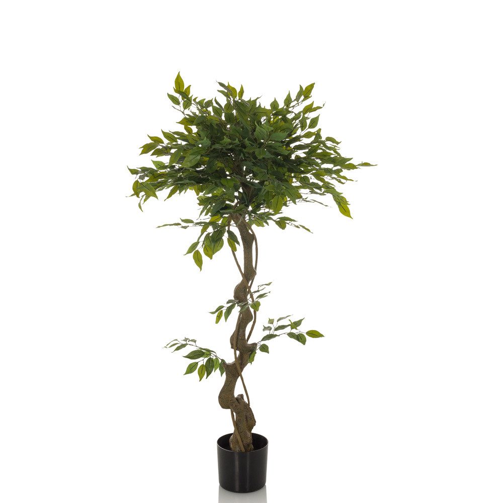 Kunstpflanze Kunstpflanze FICUS I Kunststoff, Stoff günstig online kaufen
