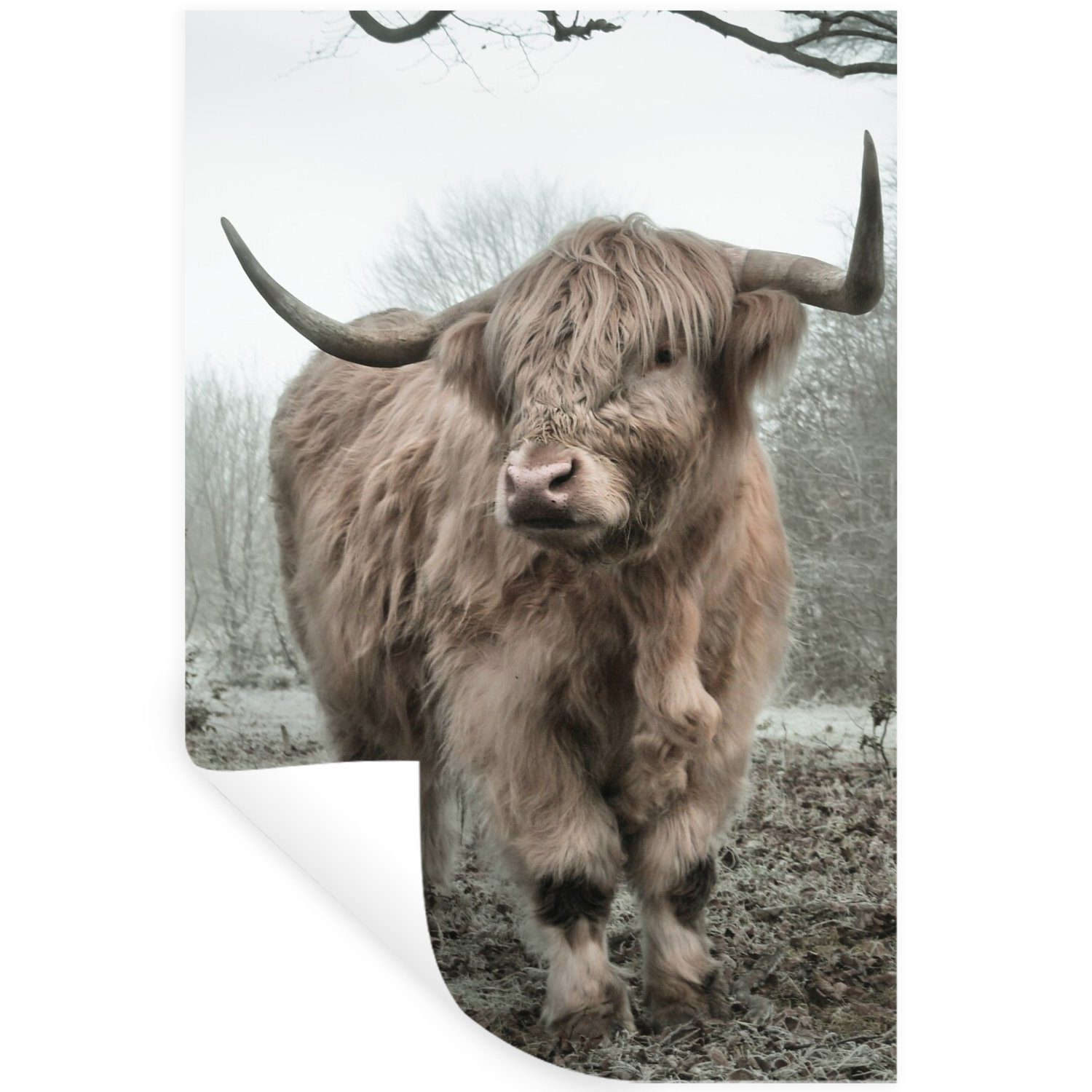 MuchoWow Wandsticker Schottischer Highlander - Wald - Nebel - Kuh - Tiere - Natur (1 St), Wandaufkleber, Selbstklebend, Wohnzimmer, 20x30 cm