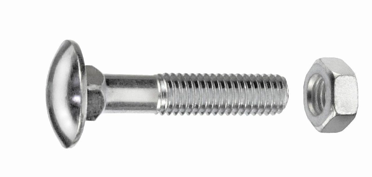 Schlossschraube Schlossschrauben M6 x 100 mm, 30 Stück
