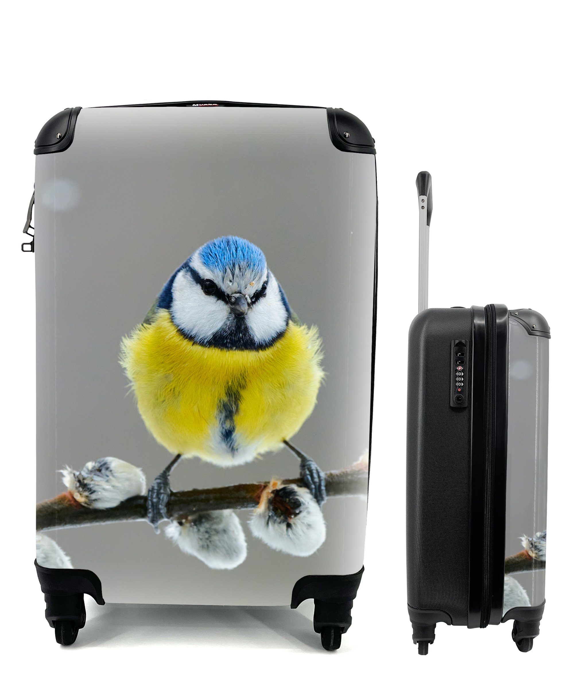 - Reisetasche Reisekoffer für Handgepäckkoffer - MuchoWow mit - 4 - Vogel Trolley, Zweig Blaumeise Gelb Ferien, Handgepäck Rollen, Blau, rollen,