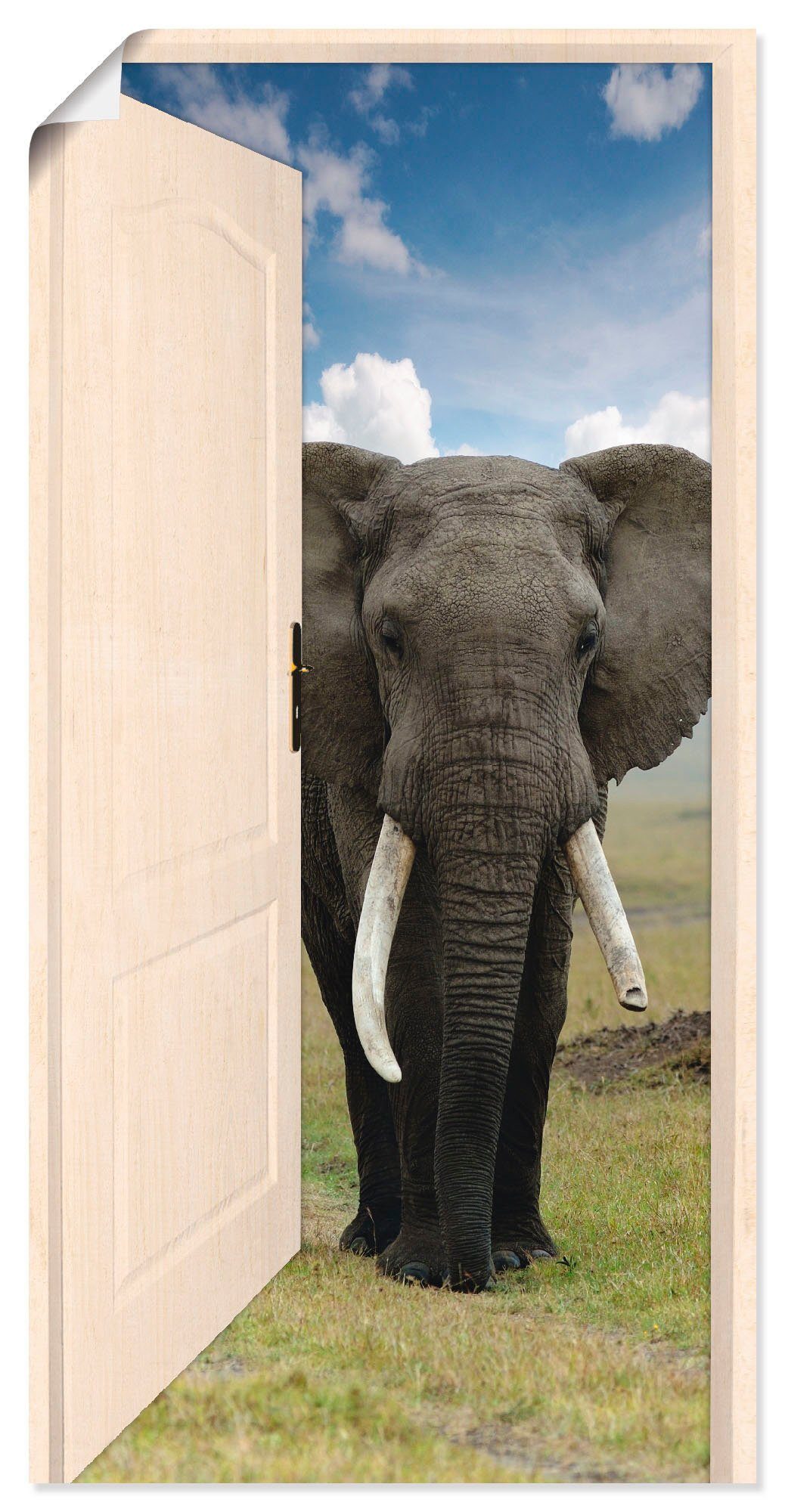 Artland Alubild, Wildtiere mit in (1 Größen als Türe Blick Elefant, Poster Wandaufkleber versch. Offene auf oder Leinwandbild, St), weiße Wandbild