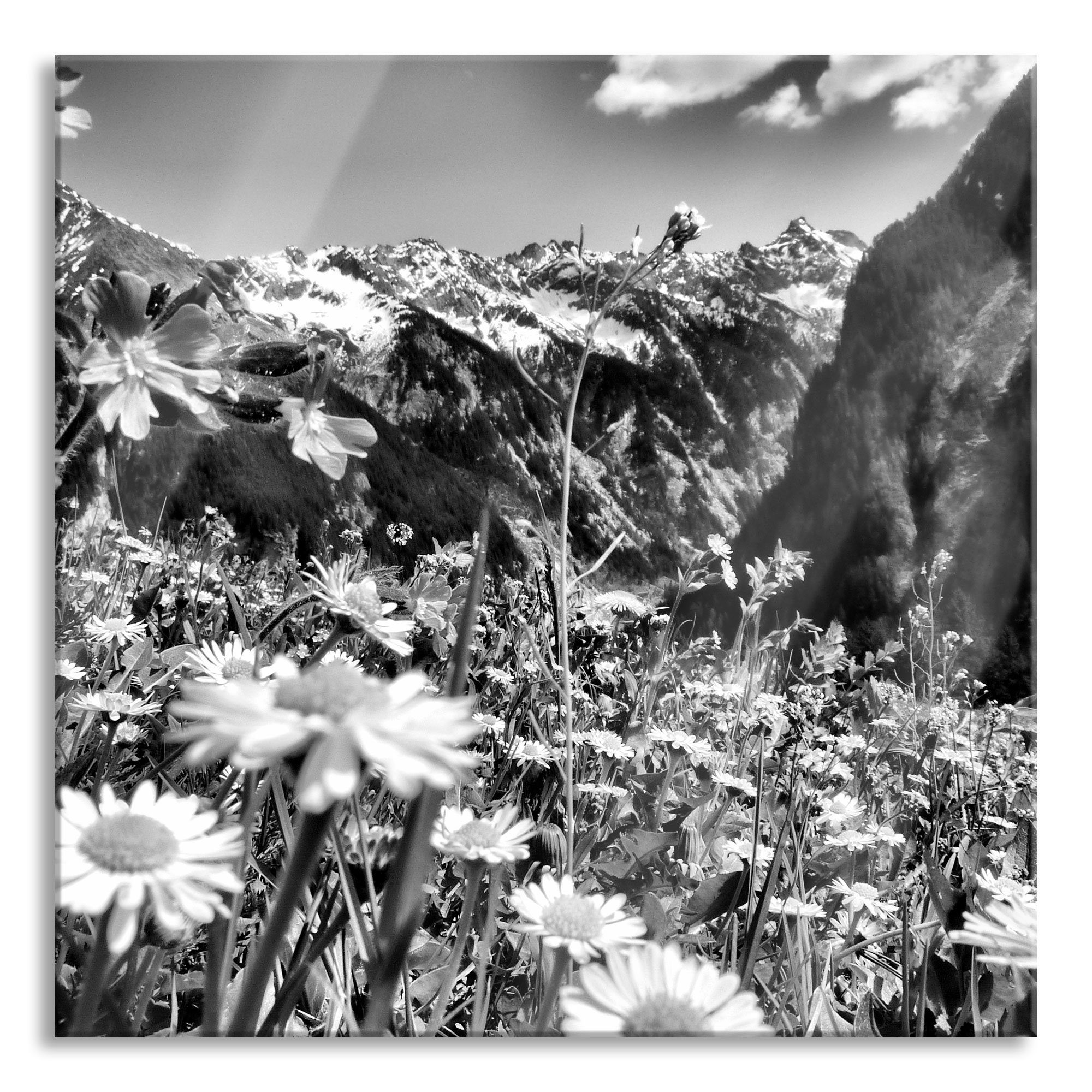 Pixxprint Glasbild Wunderschöne Blumen Alpenwiese, Wunderschöne Blumen Alpenwiese (1 St), Glasbild aus Echtglas, inkl. Aufhängungen und Abstandshalter