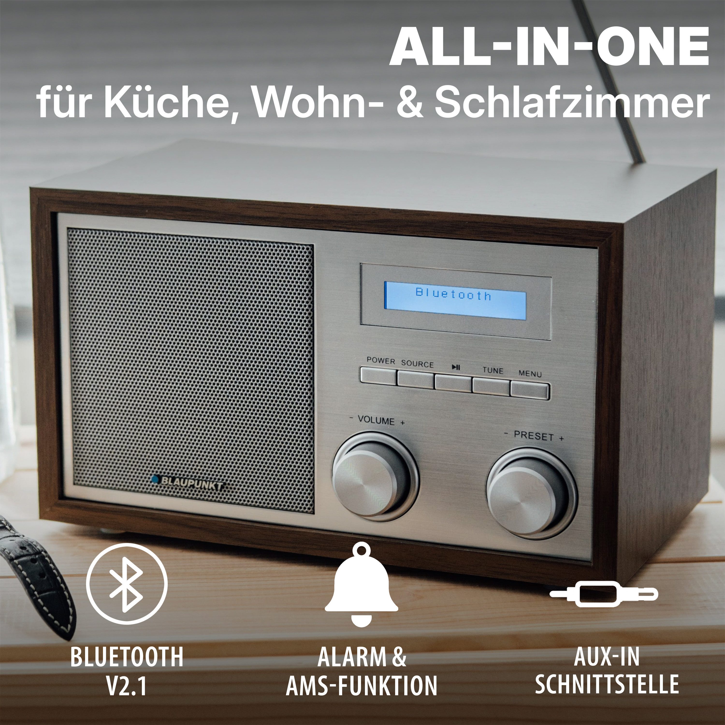 Blaupunkt RXD 180 Digitalradio (DAB) (Digitalradio (DAB), UKW- und DAB+-Empfang)