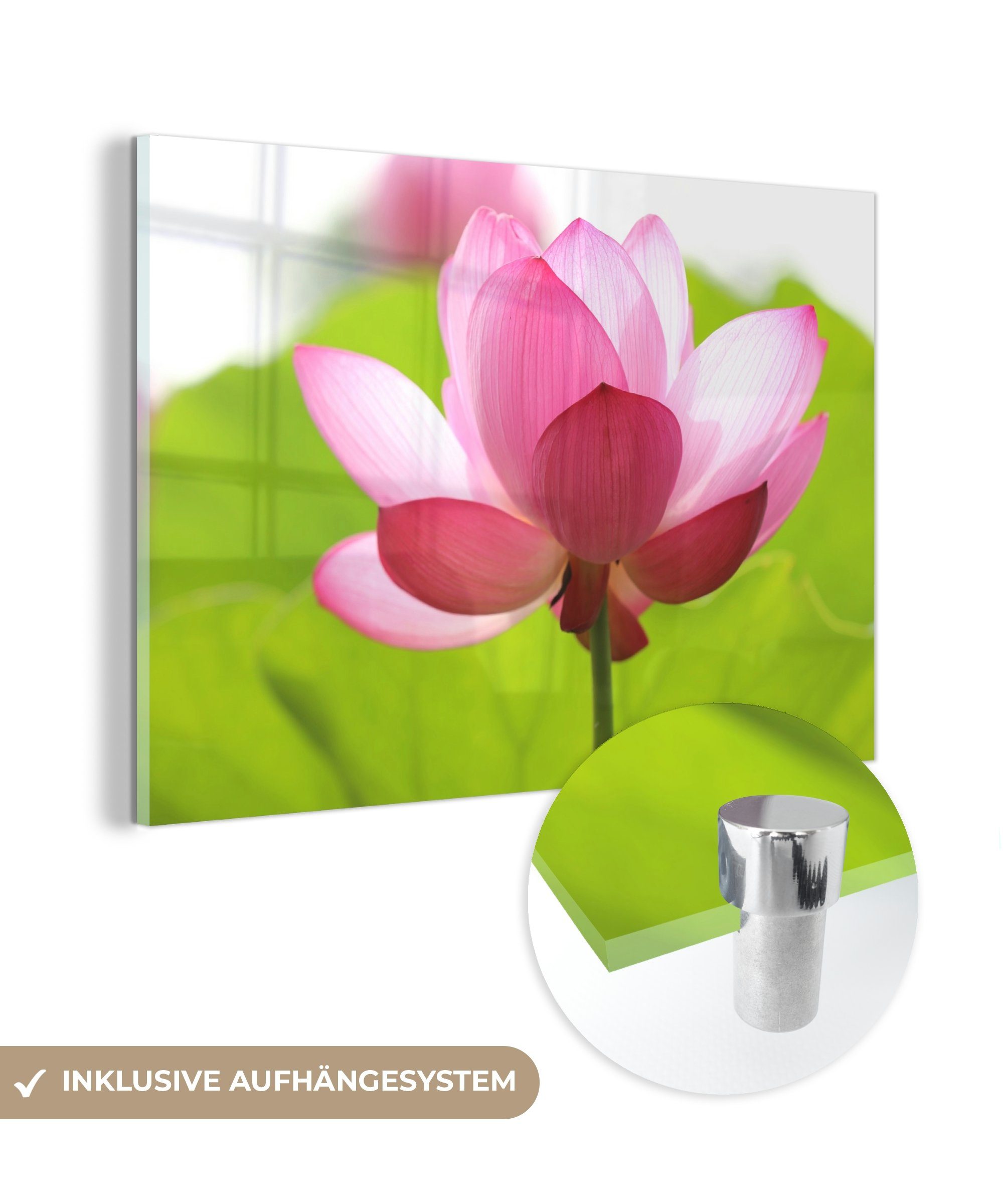- Wohnzimmer (1 Blätter Acrylglasbilder Rosa, - Acrylglasbild Blumen Schlafzimmer & St), MuchoWow