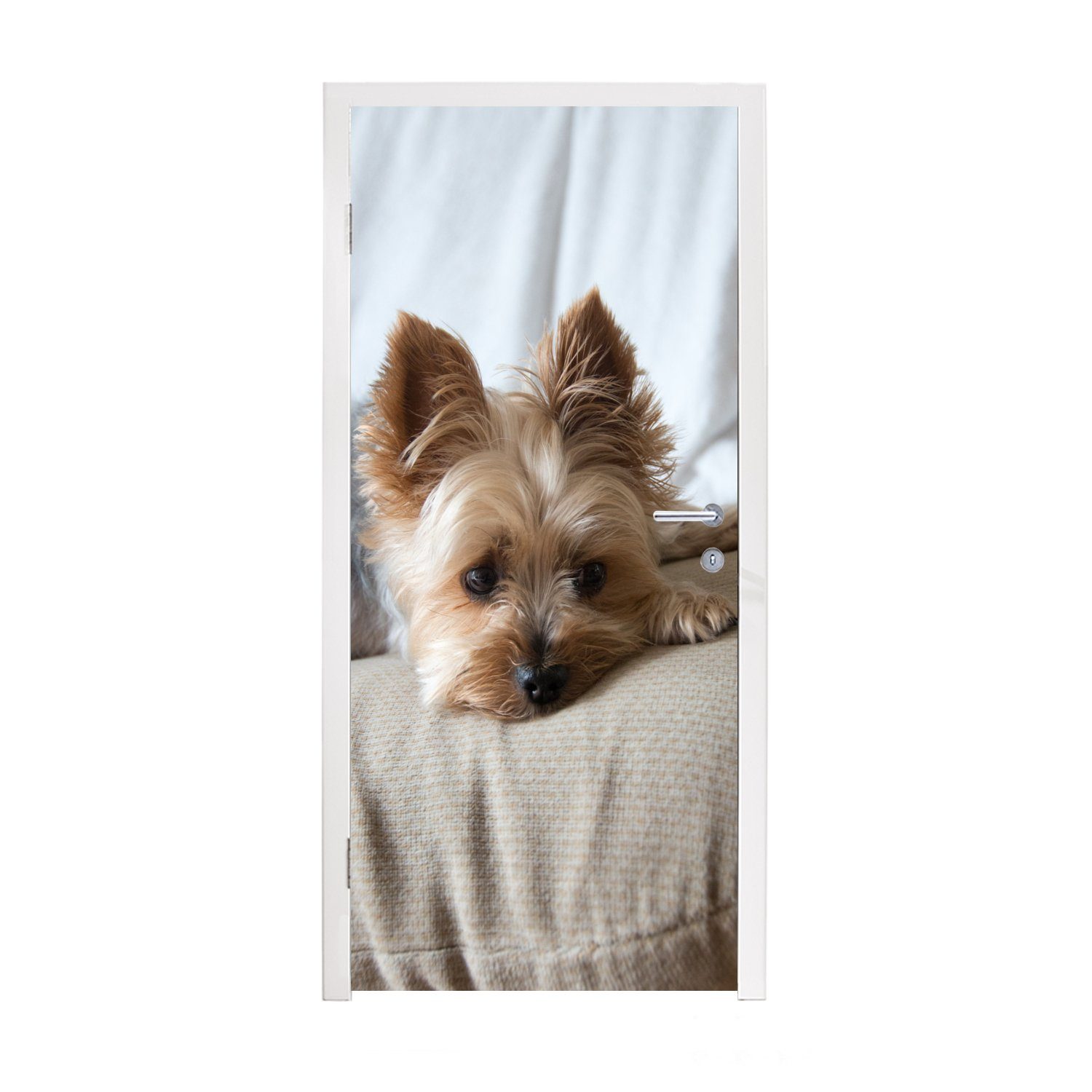 MuchoWow Türtapete Yorkshire Terrier liegt schlafend auf dem Sofa, Matt, bedruckt, (1 St), Fototapete für Tür, Türaufkleber, 75x205 cm