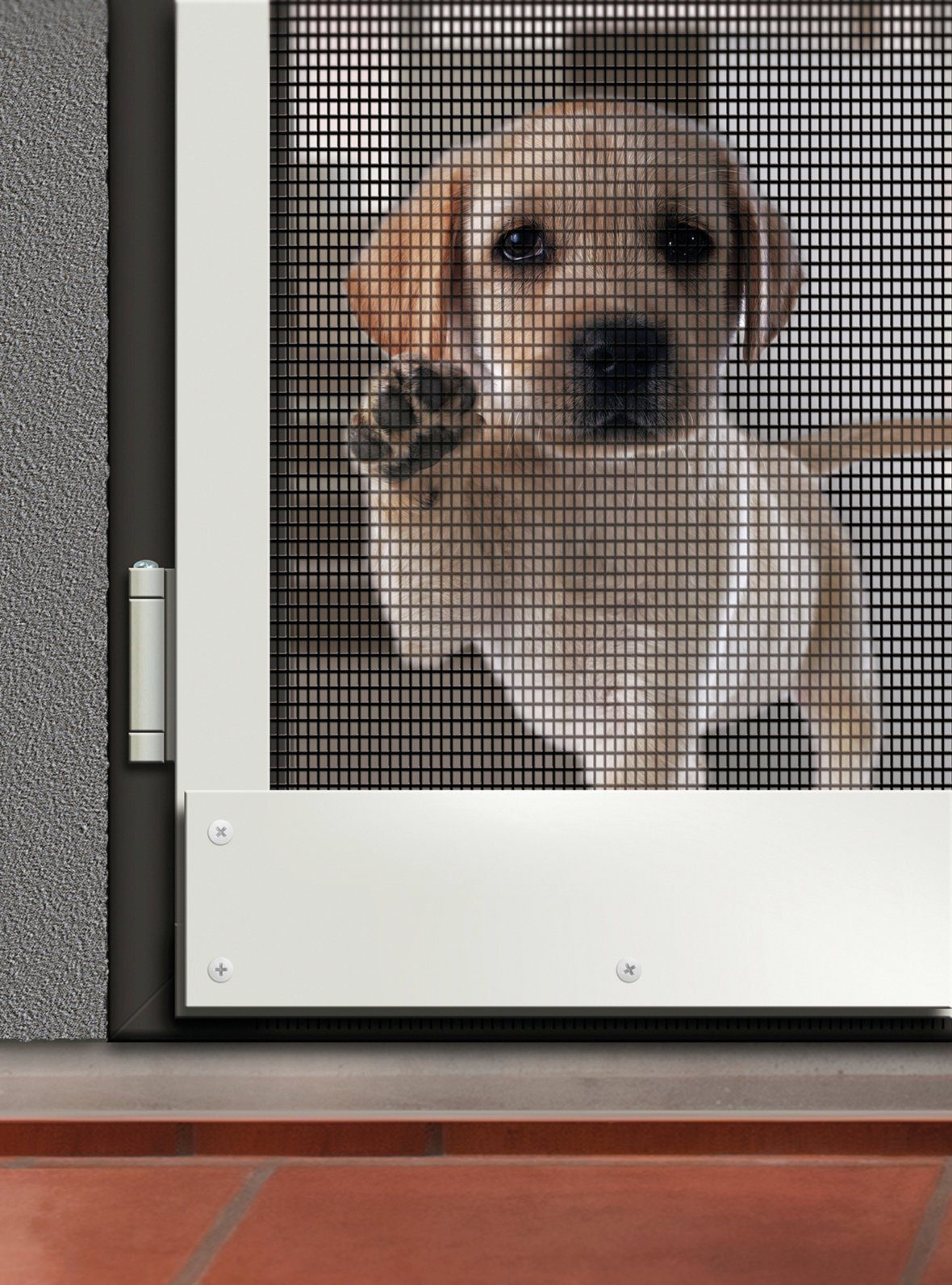 SCHELLENBERG Fliegengitter-Gewebe Max Protect, kratzsicheres Fliegengitter, (Packung, 1-St), für Fenster, Balkontür, Terrassentür, 120 x 150 cm, anthrazit