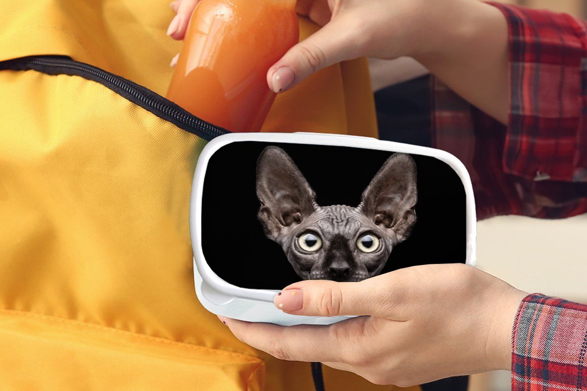 Erwachsene, Haustiere Mädchen Brotbox Jungs Katze Brotdose, für Schwarz, und weiß Lunchbox MuchoWow Porträt Kunststoff, (2-tlg), und - für - Kinder -