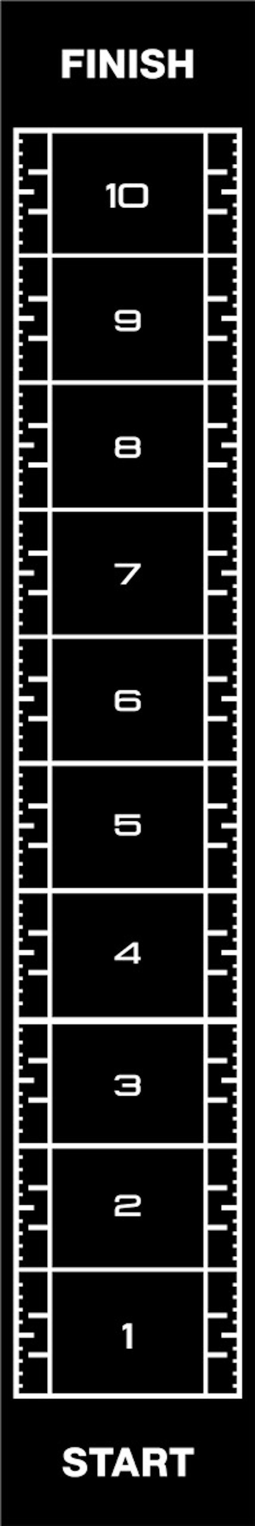 Trendy Sport Kraftstation Professionelle Sprinttrack Sprintbahn Rasenmatte (12x2m), Anthrazit, Hohe Materialdichte und -festigkeit