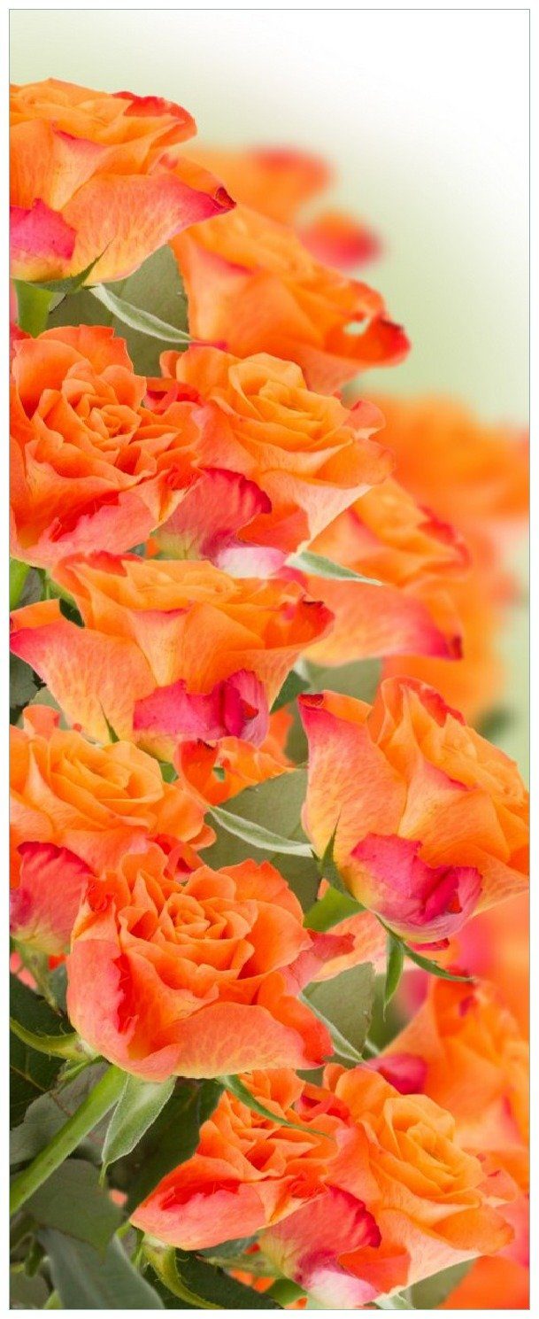 Rosenblüten Orangene Memoboard im Wallario Strauß