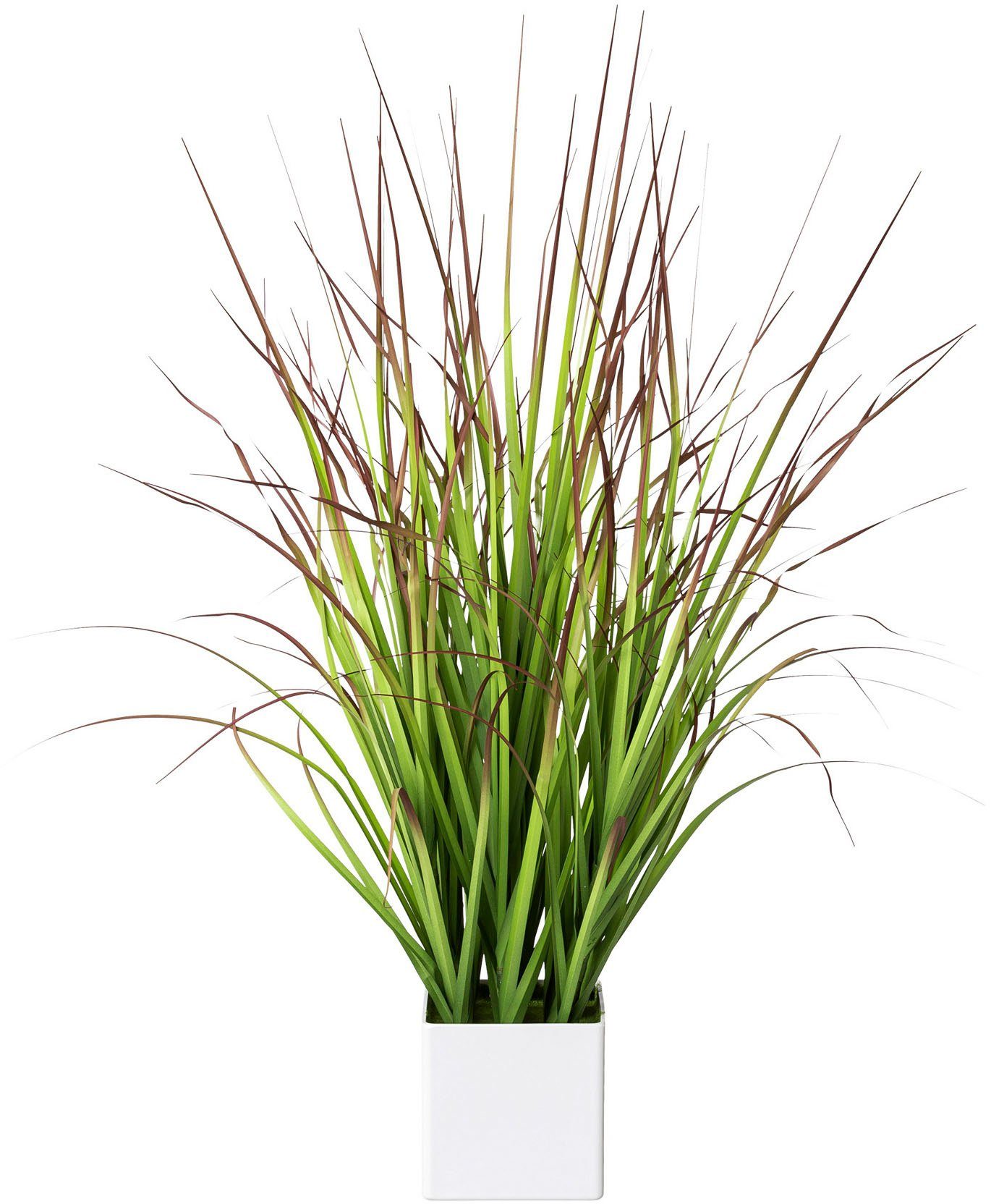 Kunstgras Blutgras, Creativ green, Höhe 76 cm, im weißen Kunststofftopf günstig online kaufen