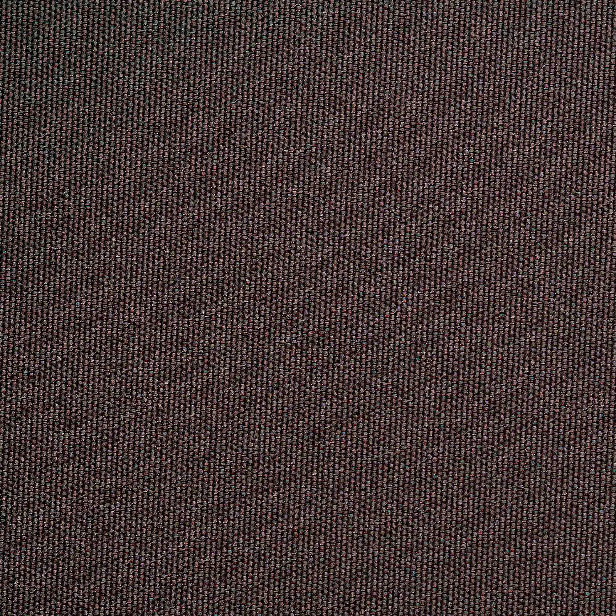 Seitenzugrollo Thermo-Rollo, Liedeco, verdunkelnd, verschraubt