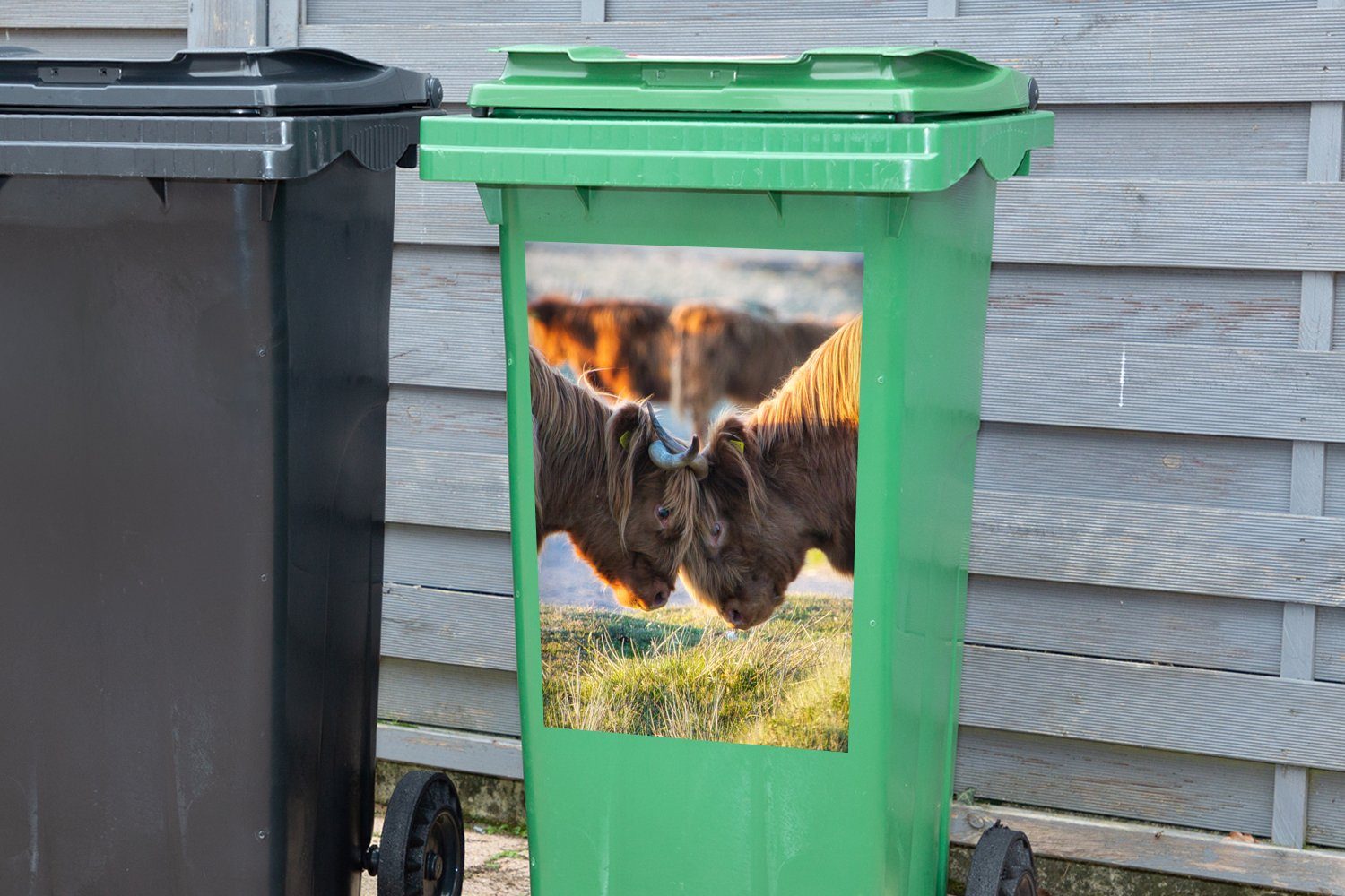 - Highlander Wandsticker Mülleimer-aufkleber, Sonne Abfalbehälter (1 Container, Tiere Mülltonne, Schottische Sticker, St), - MuchoWow