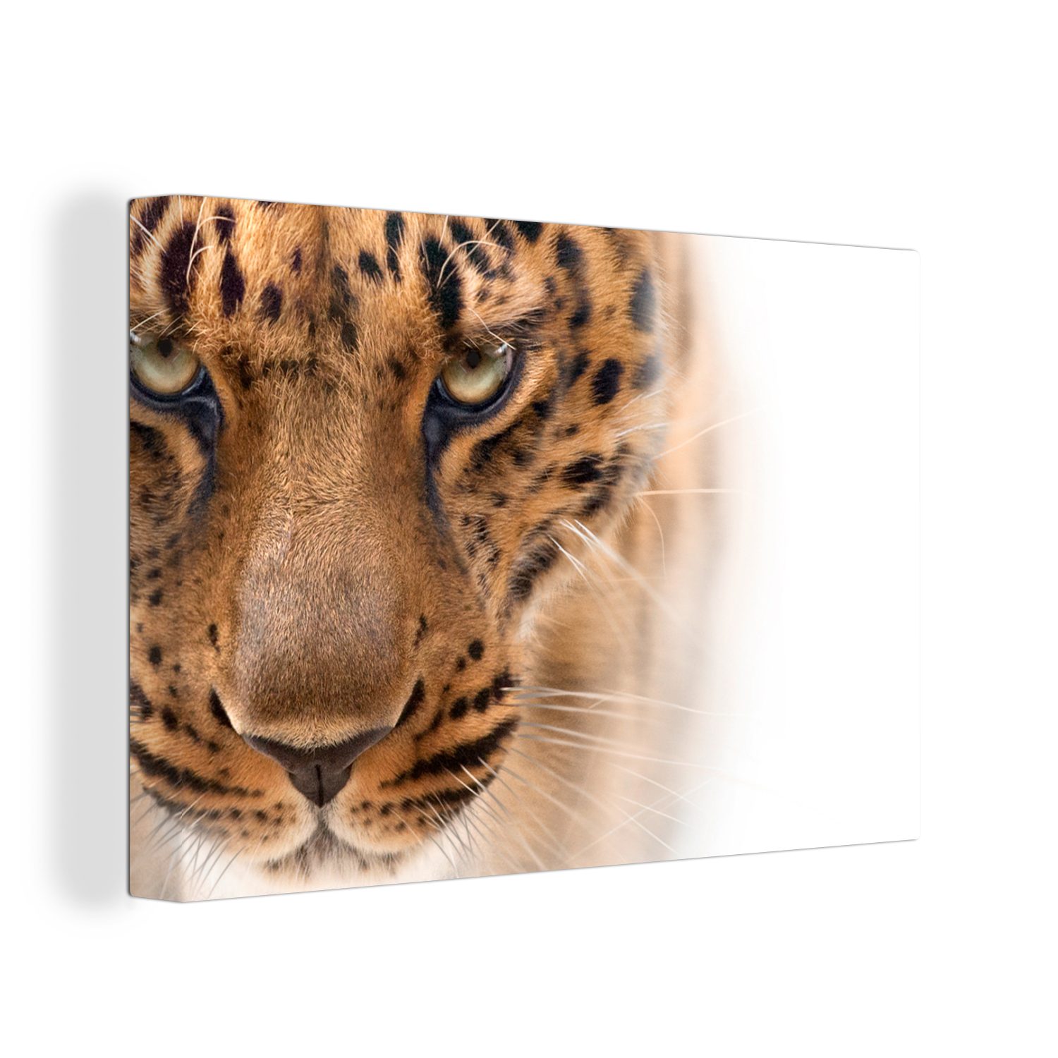 OneMillionCanvasses® Leinwandbild Leopard - Pelz - Weiß, (1 St), Wandbild Leinwandbilder, Aufhängefertig, Wanddeko, 30x20 cm