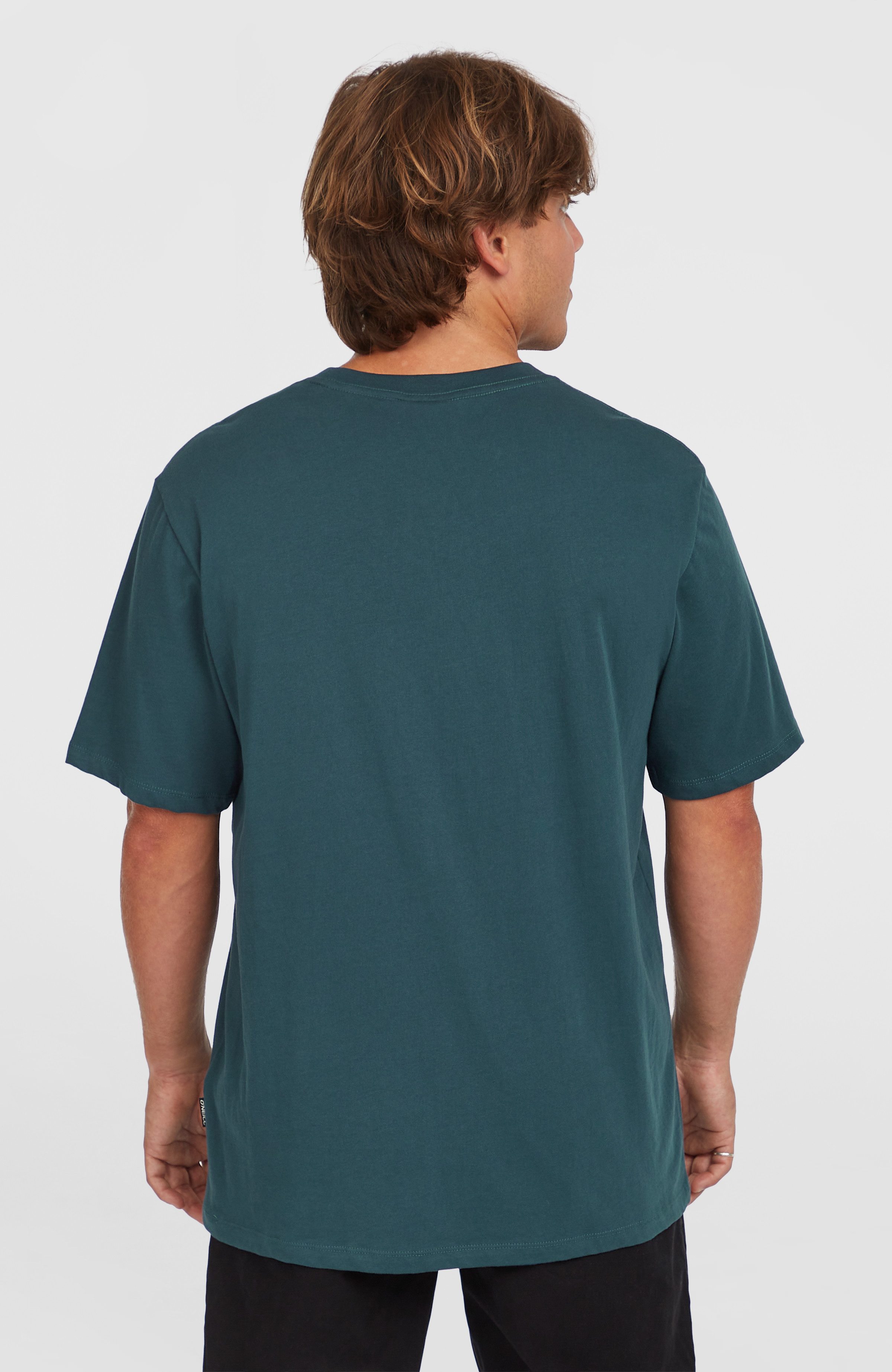 O'Neill T-Shirt O'NEILL CHEST PRINT T-SHIRT günstig online kaufen