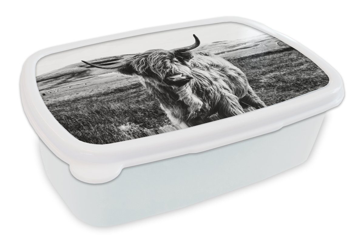 MuchoWow Lunchbox Schwarz - Weiß - Schottischer Highlander - Gras, Kunststoff, (2-tlg), Brotbox für Kinder und Erwachsene, Brotdose, für Jungs und Mädchen